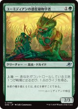 ユーミディアンの惑星植物学者/Eumidian Terrabotanist 【日本語版】 [EOE-緑U]