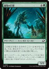 菌類の巨獣/Fungal Colossus 【日本語版】 [EOE-緑C]