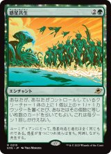 惑星共生/Terrasymbiosis 【日本語版】 [EOE-緑R]