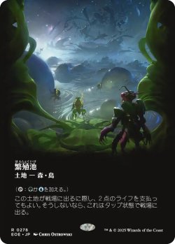 画像1: 繁殖池/Breeding Pool (全面アート版) 【日本語版】 [EOE-土地R]