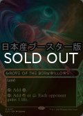 [FOIL] 燃え柳の木立ち/Grove of the Burnwillows No.017 ● (ショーケース・日本産ブースター版) 【英語版】 [EOS-土地MR]