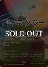 [FOIL] 石化した原野/Petrified Field No.167 (全面アート版・ギャラクシー仕様) 【英語版】 [EOS-土地MR]*詳細要確認