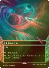 [FOIL] 燃え柳の木立ち/Grove of the Burnwillows No.017 (全面アート・海外産ブースター版) 【日本語版】 [EOS-土地MR]
