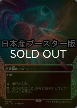画像1: [FOIL] 燃え柳の木立ち/Grove of the Burnwillows No.017 ● (ショーケース・日本産ブースター版) 【日本語版】 [EOS-土地MR]