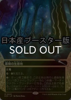 画像1: [FOIL] 墨蛾の生息地/Inkmoth Nexus No.020 ● (ショーケース・日本産ブースター版) 【日本語版】 [EOS-土地MR]
