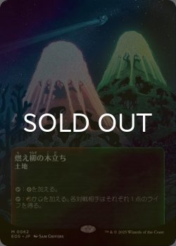 画像1: [FOIL] 燃え柳の木立ち/Grove of the Burnwillows No.062 (全面アート版) 【日本語版】 [EOS-土地MR]*詳細要確認