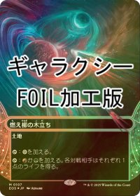 [FOIL] 燃え柳の木立ち/Grove of the Burnwillows No.107 (全面アート版・ギャラクシー・フォイル仕様) 【日本語版】 [EOS-土地MR]