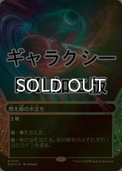 画像1: [FOIL] 燃え柳の木立ち/Grove of the Burnwillows No.107 (ショーケース版・ギャラクシー仕様) 【日本語版】 [EOS-土地MR]*詳細要確認