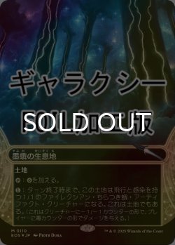 画像1: [FOIL] 墨蛾の生息地/Inkmoth Nexus No.110 (ショーケース版・ギャラクシー仕様) 【日本語版】 [EOS-土地MR]*詳細要確認