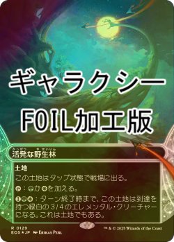 画像1: [FOIL] 活発な野生林/Stirring Wildwood No.129 (ショーケース版・ギャラクシー仕様) 【日本語版】 [EOS-土地R]*詳細要確認