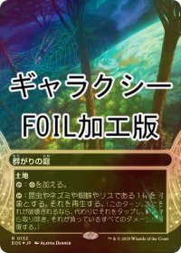 [FOIL] 群がりの庭/Swarmyard No.132 (全面アート版・ギャラクシー・フォイル仕様) 【日本語版】 [EOS-土地R]