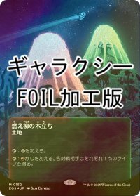 [FOIL] 燃え柳の木立ち/Grove of the Burnwillows No.152 (全面アート版・ギャラクシー・フォイル仕様) 【日本語版】 [EOS-土地MR]