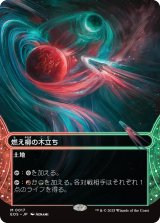 燃え柳の木立ち/Grove of the Burnwillows No.017 (全面アート版) 【日本語版】 [EOS-土地MR]