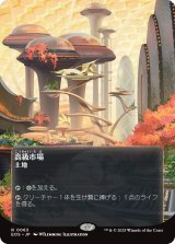 高級市場/High Market No.063 (全面アート版) 【日本語版】 [EOS-土地R]