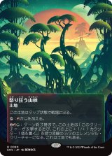 怒り狂う山峡/Raging Ravine No.080 (全面アート版) 【日本語版】 [EOS-土地R]