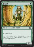 葉光らせ/Leaf Gilder 【日本語版】 [EVI-緑C]