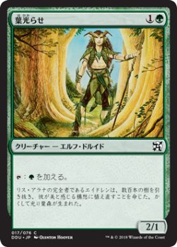 画像1: 葉光らせ/Leaf Gilder 【日本語版】 [EVI-緑C]