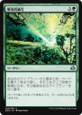 爆発的植生/Explosive Vegetation 【日本語版】 [EVK-緑U]