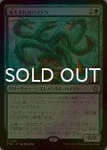 [FOIL] 苔生まれのハイドラ/Mossborn Hydra 【日本語版】 [FDN-緑R]