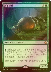 [FOIL] 漁る軟泥/Scavenging Ooze 【日本語版】 [FDN-緑R]