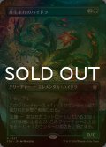 [FOIL] 苔生まれのハイドラ/Mossborn Hydra (全面アート版) 【日本語版】 [FDN-緑R]