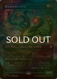 [FOIL] 苔生まれのハイドラ/Mossborn Hydra (全面アート版) 【日本語版】 [FDN-緑R]