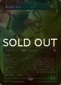 [FOIL] 魂を紡ぐもの/Spinner of Souls (全面アート版) 【日本語版】 [FDN-緑R]