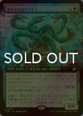 [FOIL] 苔生まれのハイドラ/Mossborn Hydra (拡張アート版) 【日本語版】 [FDN-緑R]