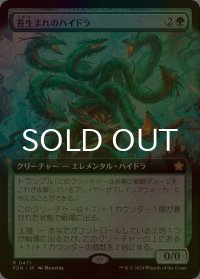 [FOIL] 苔生まれのハイドラ/Mossborn Hydra (拡張アート版) 【日本語版】 [FDN-緑R]