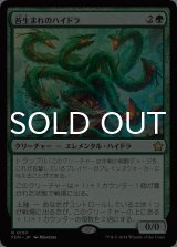 苔生まれのハイドラ/Mossborn Hydra 【日本語版】 [FDN-緑R]