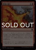 焦熱の竜火/Scorching Dragonfire 【日本語版】 [FDN-赤C]