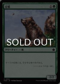 仔熊/Bear Cub 【日本語版】 [FDN-緑C]