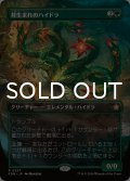 苔生まれのハイドラ/Mossborn Hydra (全面アート版) 【日本語版】 [FDN-緑R]