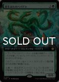 苔生まれのハイドラ/Mossborn Hydra (拡張アート版) 【日本語版】 [FDN-緑R]