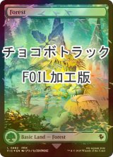 [FOIL] 森/Forest (全面アート版・チョコボトラック仕様) 【英語版】 [FIC-土地C]