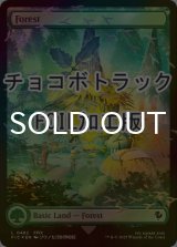 [FOIL] 森/Forest (全面アート版・チョコボトラック仕様) 【英語版】 [FIC-土地C]