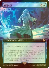 [FOIL] 停滞の光/Observed Stasis (拡張アート版) 【日本語版】 [FIC-青R]