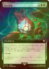 [FOIL] 星の深淵/Lifestream's Blessing (拡張アート版) 【日本語版】 [FIC-緑R]