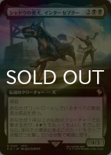[FOIL] シャドウの愛犬、インターセプター/Interceptor, Shadow's Hound (拡張アート版) 【日本語版】 [FIC-黒R]