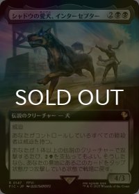[FOIL] シャドウの愛犬、インターセプター/Interceptor, Shadow's Hound (拡張アート版) 【日本語版】 [FIC-黒R]