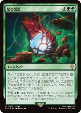 星の深淵/Lifestream's Blessing 【日本語版】 [FIC-緑R]