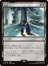 縫合/Stitch Together 【日本語版】 [FIC-黒U]