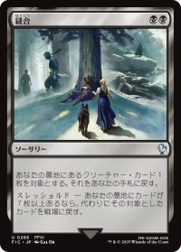 縫合/Stitch Together 【日本語版】 [FIC-黒U]