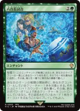 八百長試合/Fight Rigging 【日本語版】 [FIC-緑R]
