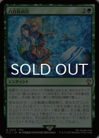 八百長試合/Fight Rigging 【日本語版】 [FIC-緑R]