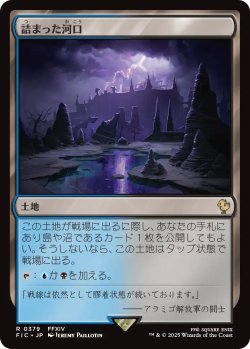 画像1: 詰まった河口/Choked Estuary 【日本語版】 [FIC-土地R]