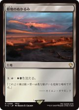 僻地のぬかるみ/Desolate Mire 【日本語版】 [FIC-土地R]