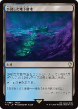 水没した地下墓地/Drowned Catacomb 【日本語版】 [FIC-土地R]
