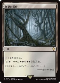 悪臭の荒野/Fetid Heath 【日本語版】 [FIC-土地R]