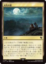 祖先の道/Path of Ancestry 【日本語版】 [FIC-土地C]